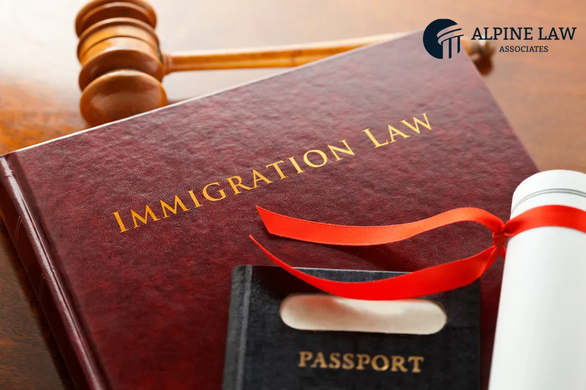 Immigration law