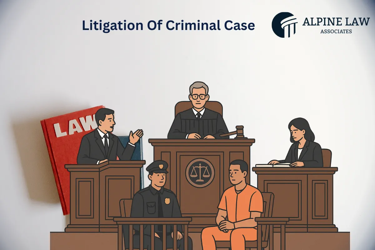 Litigation of Criminal Case