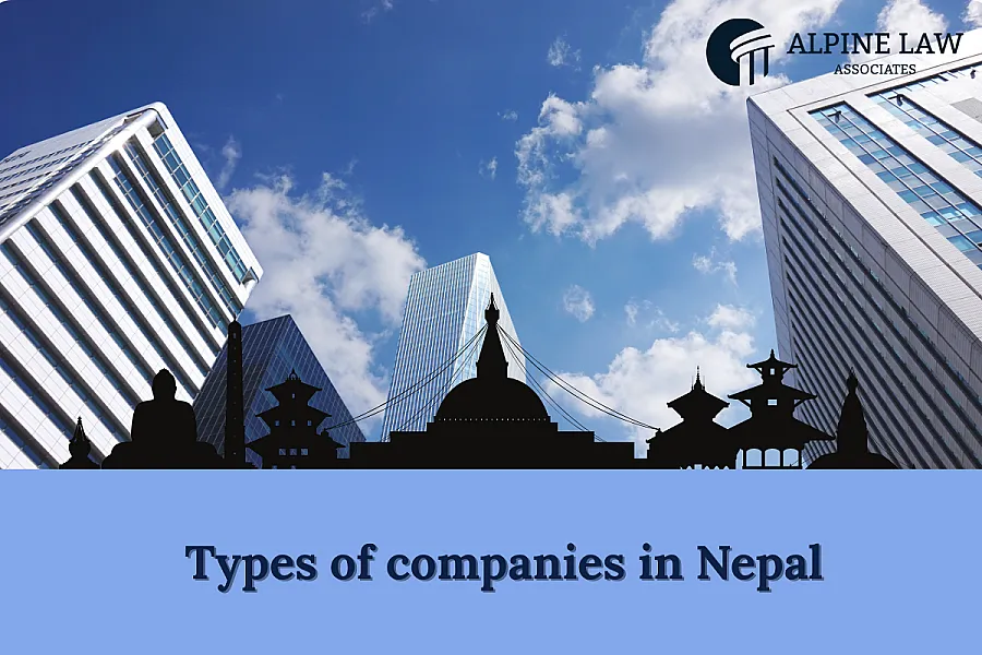 Types of companies in Nepal