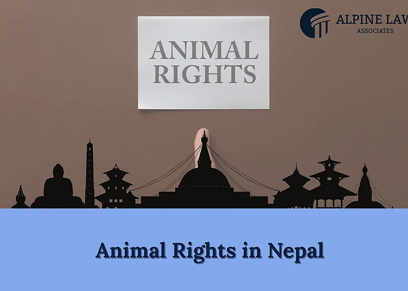 Animal Rights in Nepal: Laws, Challenges, and Welfare Measures